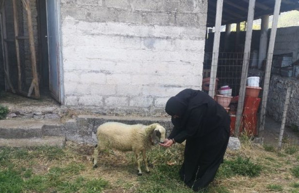 CREATOR: gd-jpeg v1.0 (using IJG JPEG v62), quality = 82