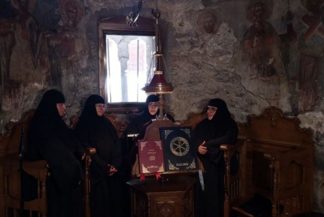 CREATOR: gd-jpeg v1.0 (using IJG JPEG v62), quality = 82